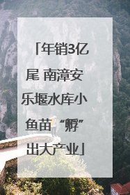 年销3亿尾 南漳安乐堰水库小鱼苗“孵”出大产业
