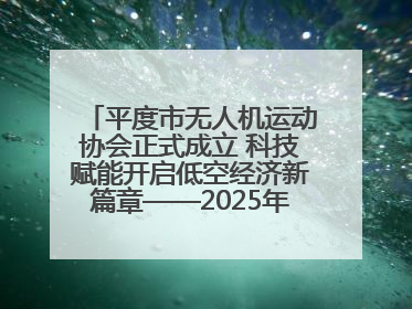 平度市无人机运动协会正式成立 科技赋能开启低空经济新篇章——2025年首届会员大会暨无人机应用发展论坛成功举办