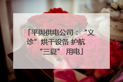 平舆供电公司：“义诊”烘干设备 护航 “三夏” 用电