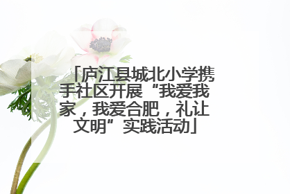 庐江县城北小学携手社区开展“我爱我家，我爱合肥，礼让文明”实践活动