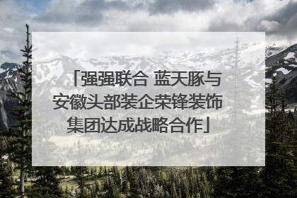 强强联合 蓝天豚与安徽头部装企荣锋装饰集团达成战略合作