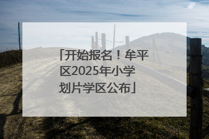 开始报名！牟平区2025年小学划片学区公布