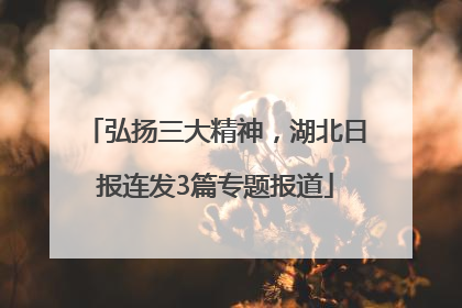 弘扬三大精神，湖北日报连发3篇专题报道