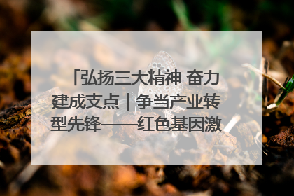 弘扬三大精神 奋力建成支点｜争当产业转型先锋——红色基因激荡荆门转型跨越之路