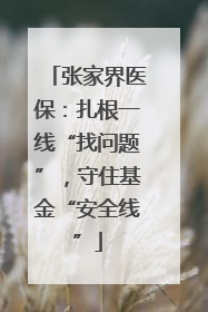 张家界医保：扎根一线“找问题”，守住基金“安全线”