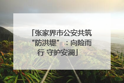 张家界市公安共筑“防洪堤”：向险而行 守护安澜