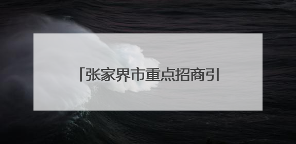 张家界市重点招商引资项目调度会召开
