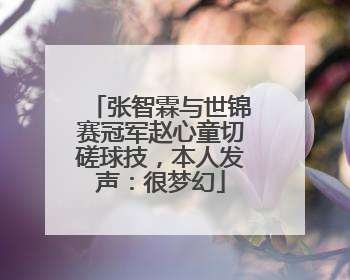 张智霖与世锦赛冠军赵心童切磋球技，本人发声：很梦幻