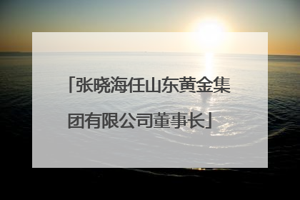 张晓海任山东黄金集团有限公司董事长