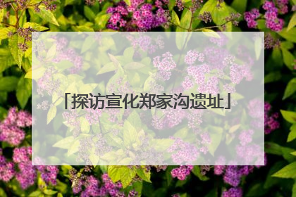 探访宣化郑家沟遗址