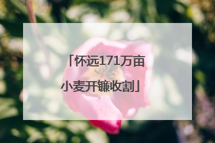 怀远171万亩小麦开镰收割