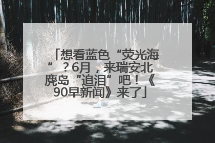 想看蓝色“荧光海”？6月，来瑞安北麂岛“追泪”吧！《90早新闻》来了