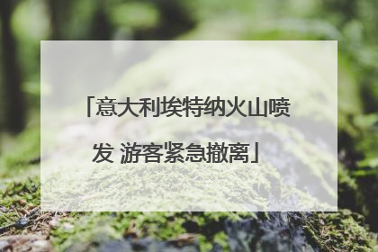 意大利埃特纳火山喷发 游客紧急撤离
