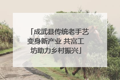 成武县传统老手艺变身新产业 共富工坊助力乡村振兴