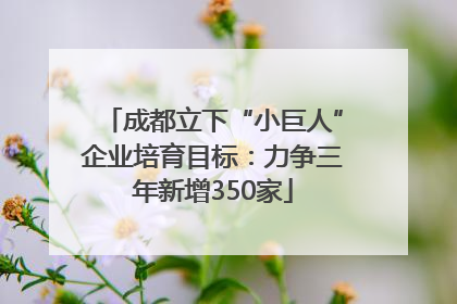 成都立下“小巨人”企业培育目标：力争三年新增350家