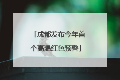 成都发布今年首个高温红色预警