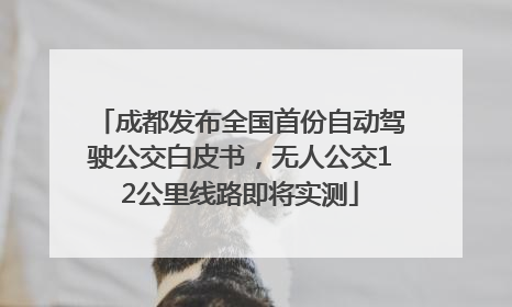 成都发布全国首份自动驾驶公交白皮书，无人公交12公里线路即将实测