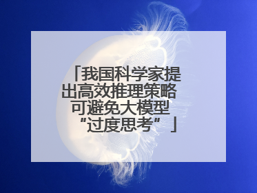 我国科学家提出高效推理策略 可避免大模型“过度思考”