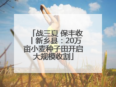 战三夏 保丰收丨新乡县：20万亩小麦种子田开启大规模收割