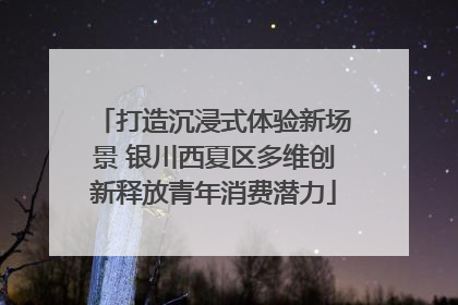 打造沉浸式体验新场景 银川西夏区多维创新释放青年消费潜力
