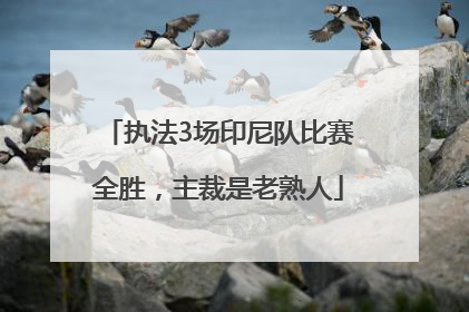 执法3场印尼队比赛全胜，主裁是老熟人