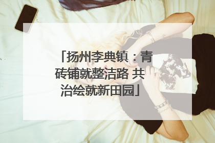 扬州李典镇：青砖铺就整洁路 共治绘就新田园