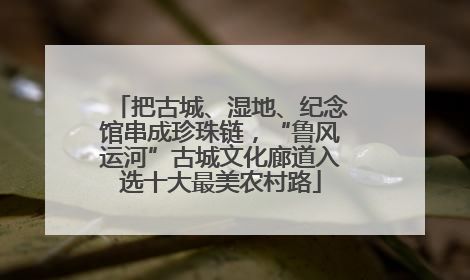 把古城、湿地、纪念馆串成珍珠链，“鲁风运河”古城文化廊道入选十大最美农村路