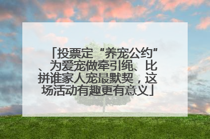 投票定“养宠公约”、为爱宠做牵引绳、比拼谁家人宠最默契，这场活动有趣更有意义