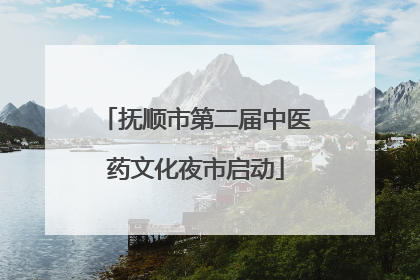 抚顺市第二届中医药文化夜市启动