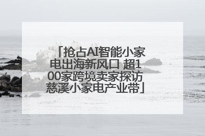 抢占AI智能小家电出海新风口 超100家跨境卖家探访慈溪小家电产业带