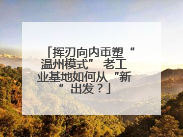 挥刃向内重塑“温州模式” 老工业基地如何从“新”出发？