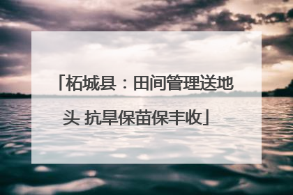 柘城县：田间管理送地头 抗旱保苗保丰收