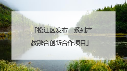 松江区发布一系列产教融合创新合作项目