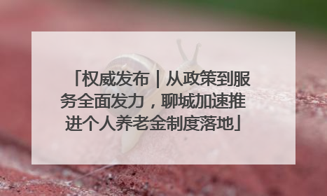 权威发布｜从政策到服务全面发力，聊城加速推进个人养老金制度落地