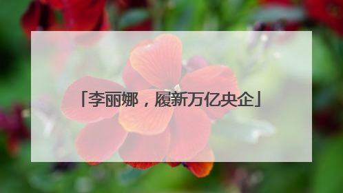 李丽娜，履新万亿央企