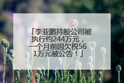 李亚鹏持股公司被执行约244万元，一个月前因欠税561万元被公告！