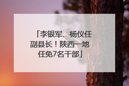 李银军、杨仪任副县长!陕西一地任免7名干部