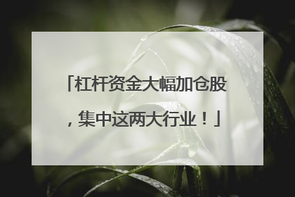 杠杆资金大幅加仓股，集中这两大行业！