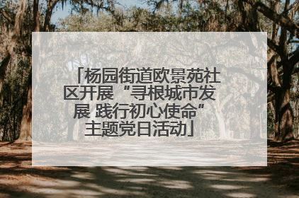 杨园街道欧景苑社区开展“寻根城市发展 践行初心使命”主题党日活动