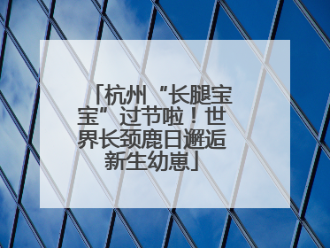 杭州“长腿宝宝”过节啦！世界长颈鹿日邂逅新生幼崽
