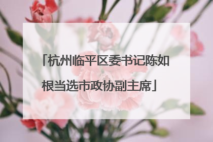 杭州临平区委书记陈如根当选市政协副主席