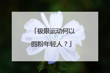 极限运动何以圈粉年轻人？