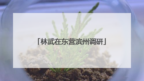 林武在东营滨州调研
