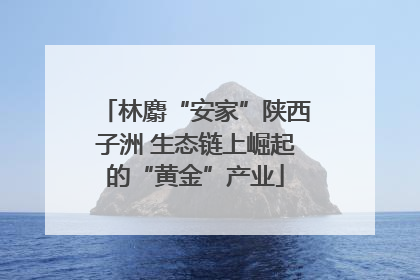林麝“安家”陕西子洲 生态链上崛起的“黄金”产业