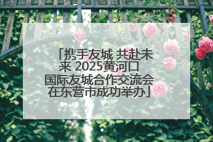 携手友城 共赴未来 2025黄河口国际友城合作交流会在东营市成功举办
