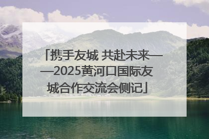 携手友城 共赴未来——2025黄河口国际友城合作交流会侧记