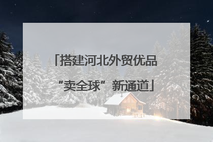 搭建河北外贸优品“卖全球”新通道