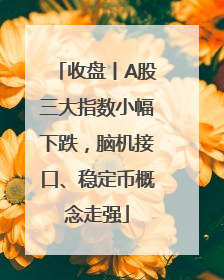 收盘丨A股三大指数小幅下跌，脑机接口、稳定币概念走强