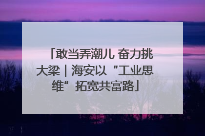 敢当弄潮儿 奋力挑大梁｜海安以“工业思维”拓宽共富路