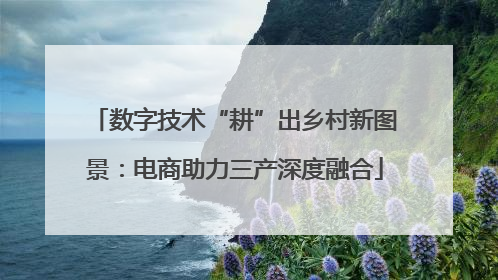 数字技术“耕”出乡村新图景：电商助力三产深度融合